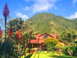 Eco-Hotel Palmas De Cocora