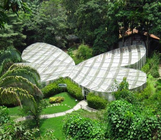 Jardín Botánico y Mariposario