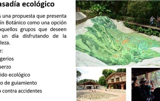 Servicios de Pasadía