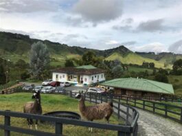 Hotel Bariloche