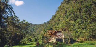 Hotel San Vicente Reserva Termal