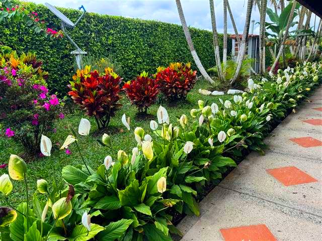 jardines