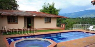 Chalet Villa Nelly